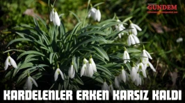 Kardelenler Erken Karsız Kaldı