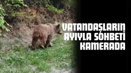 Kastamonu'da Vatandaşların Ayıyla Sohbeti Kamerada