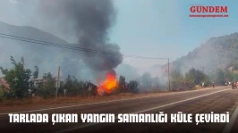 Tarlada Çıkan Yangın Samanlığı Küle Çevirdi