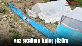 Yaz Sıcağına İlginç Çözüm