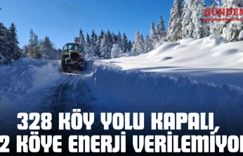 328 Köy Yolu Kapalı, 12 Köye Enerji Verilemiyor