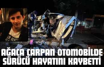 Ağaca Çarpan Otomobilde Sürücü Hayatını Kaybetti