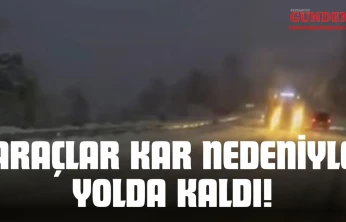 Araçlar Kar Nedeniyle Yolda Kaldı!