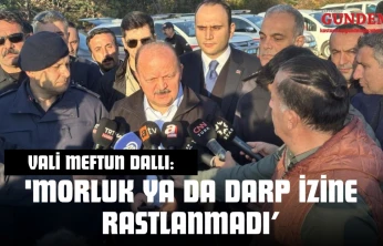 Cansız Bedenleri Bulunan Anne Ve Oğlu Hakkında Vali Dallı'dan Açıklama