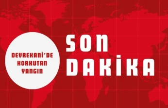 Devrekani'de Korkutan Yangın