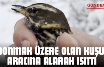 Donmak Üzere Olan Kuşu Aracına Alarak Isıttı