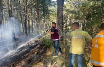 Hanönü'nde Orman Yangını!