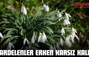 Kardelenler Erken Karsız Kaldı