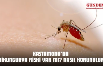 Kastamonu'da Chikungunya Riski Var mı? Nasıl Korunulur?