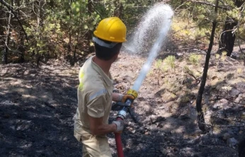 Kastamonu'da Orman Yangını!
