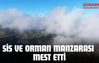 Kastamonu'da Sis ve Orman Manzarası Mest Etti