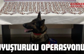 Kastamonu'da Uyuşturucu Operasyonu!