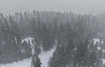Kastamonu'da Yoğun Kar ve Sis: Ekipler Teyakkuzda