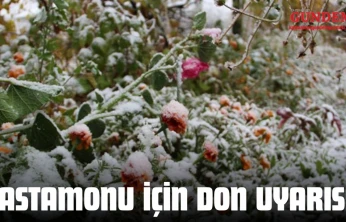 Kastamonu İçin Don Uyarısı!