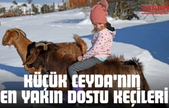 Küçük Ceyda'nın En Yakın Dostu Keçileri