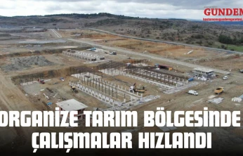 Organize Tarım Bölgesinde Çalışmalar Hızlandı