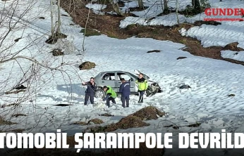 Otomobil Şarampole Devrildi: 2 Yaralı