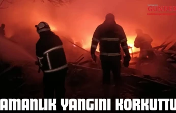 Samanlık Yangını Korkuttu!