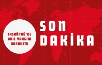 Taşköprü'de Anız Yangını Korkuttu