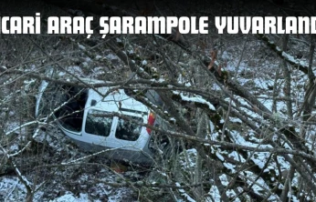Ticari Araç Şarampole Yuvarlandı