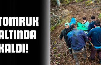 Tomruk Altında Kaldı, Ekipler 700 Metre Yol Katetti!