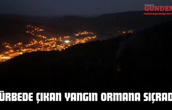 Türbede Çıkan Yangın Ormana Sıçradı
