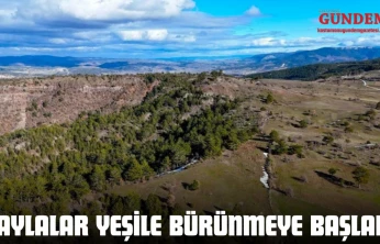 Yaylalar Yeşile Bürünmeye Başladı