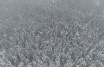 Yüksek Kesimlerde Kar Yağışı Etkili Oldu