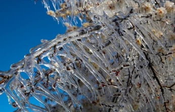 Zirai Don Uyarısı Yapıldı