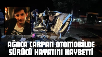 Ağaca Çarpan Otomobilde Sürücü Hayatını Kaybetti