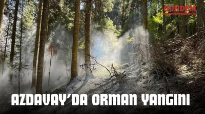 Azdavay'da Orman Yangını