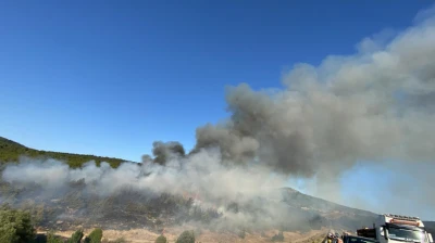 Eflani-Daday Yolunda Orman Yangını