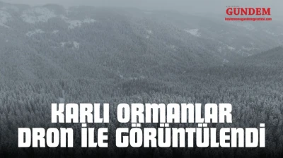 Karlı Ormanlar Dron İle Görüntülendi