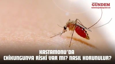 Kastamonu'da Chikungunya Riski Var mı? Nasıl Korunulur?