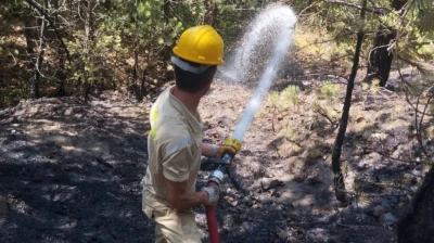 Kastamonu'da Orman Yangını!