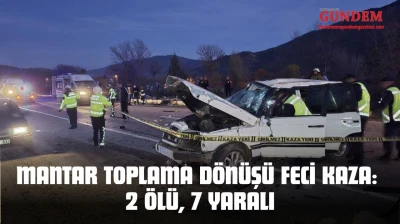 Mantar Toplama Dönüşü Feci Kaza: 2 Ölü, 7 Yaralı