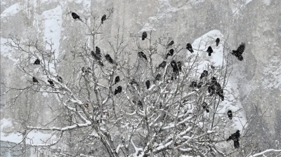 Sıcaklık, Mevsim Normallerinin Üzerine Çıktı