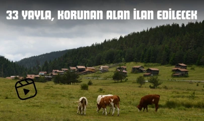 33 Yayla, Korunan Alan İlan Edilecek