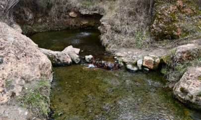 'Acı Su' İle Hastalıklara Şifa Arıyorlar