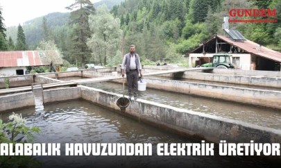 Alabalık Havuzundan Elektrik Üretiyor