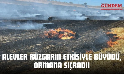 Alevler Rüzgarın Etkisiyle Büyüdü, Ormana Sıçradı!