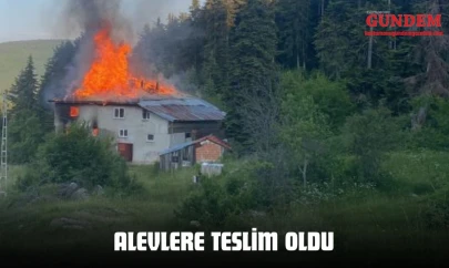 Alevlere Teslim Oldu