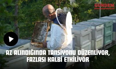 Az Alındığında Tansiyonu Düzenliyor, Fazlası Kalbi Etkiliyor