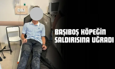 Başıboş Köpeğin Saldırısına Uğradı