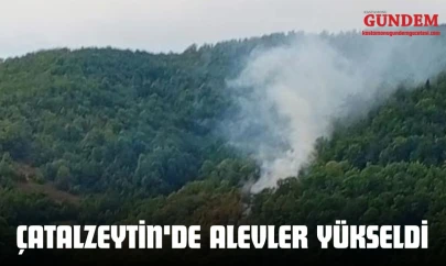 Çatalzeytin'de Alevler Yükseldi
