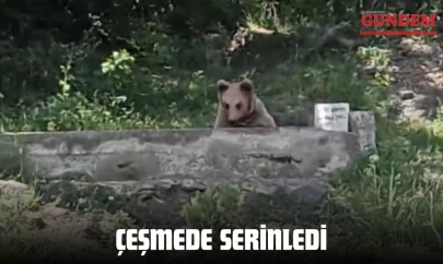 Çeşmede Serinledi