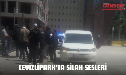 Cevizlipark'ta Silah Sesleri