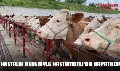 Çevre İllerdeki Hastalık Nedeniyle Kastamonu'da Kapatıldı!