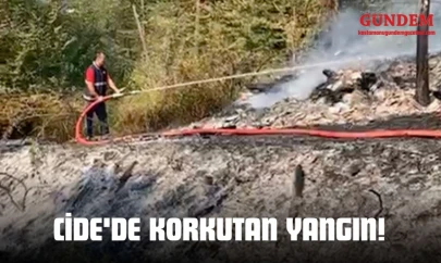 Cide'de Korkutan Yangın!