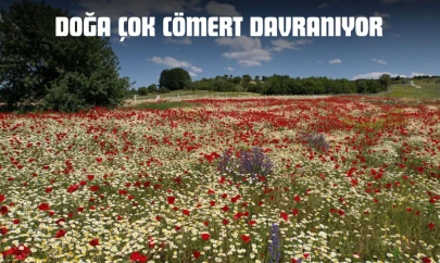 Doğa Çok Cömert Davranıyor